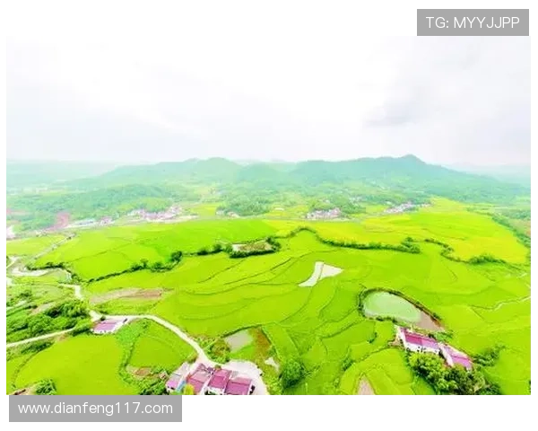 安徽魅力绽放：直播带你领略徽风皖韵